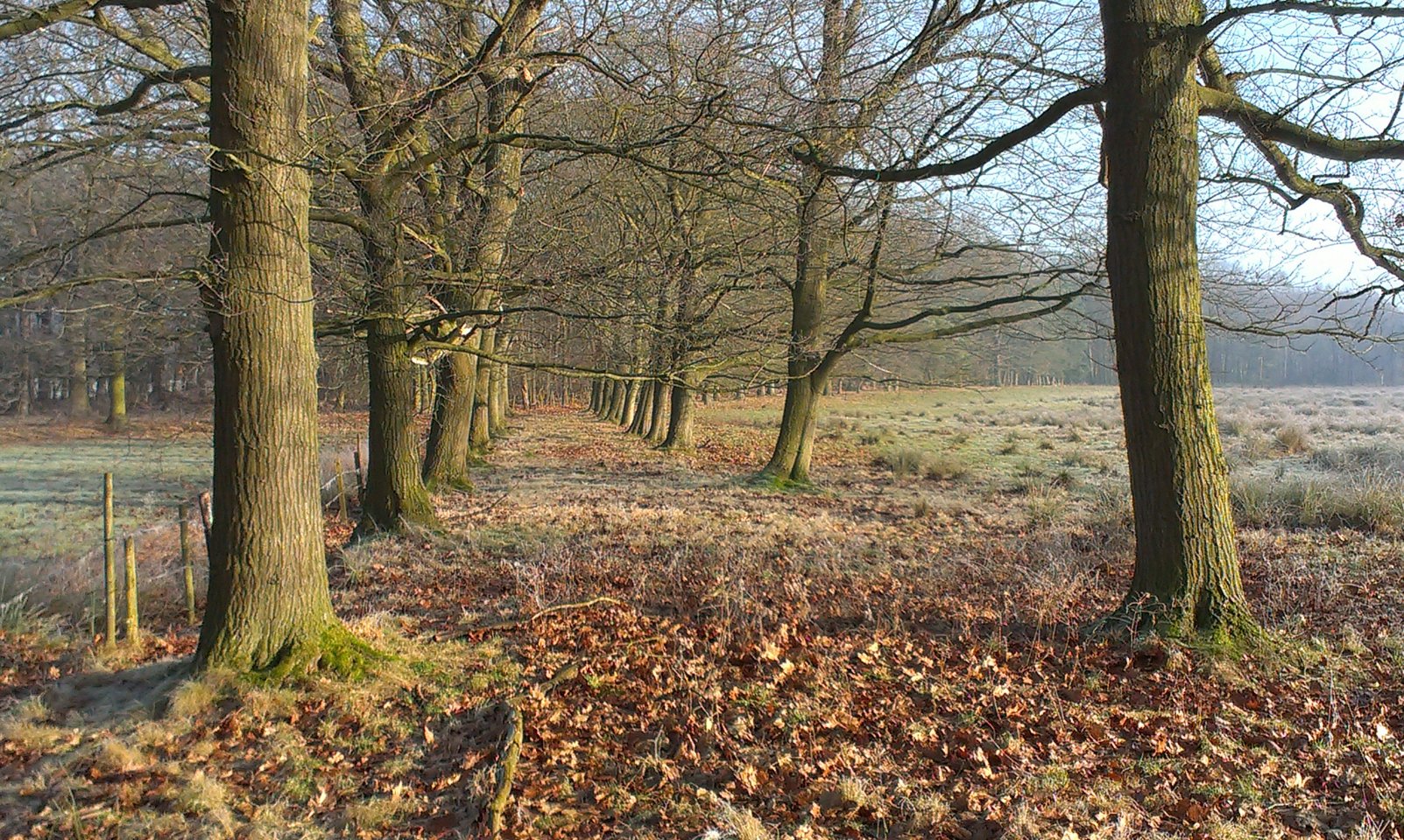 Actiedag voor de natuur:  natuurbeheer in de Hoefaert samen met Mooi Zutendaal