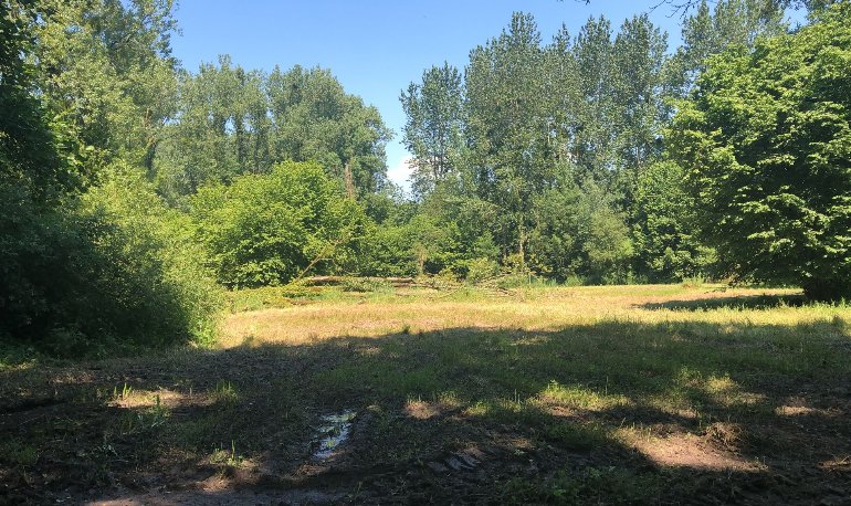 Maaien voor meer kleur en leven in het grasland