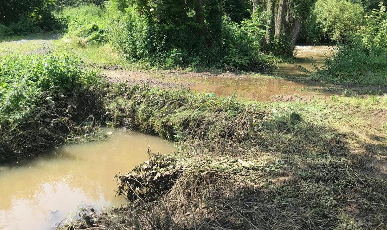 Vlaanderen laat tonnen vruchtbare bodem wegspoelen