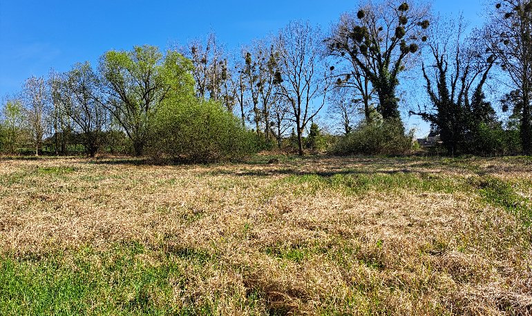 Molenbeemden in april 2025
