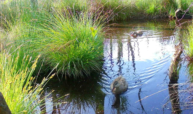 Onze natuur