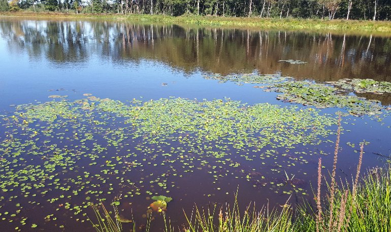 Onze natuur