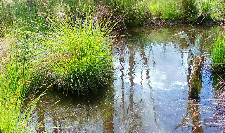 Onze natuur