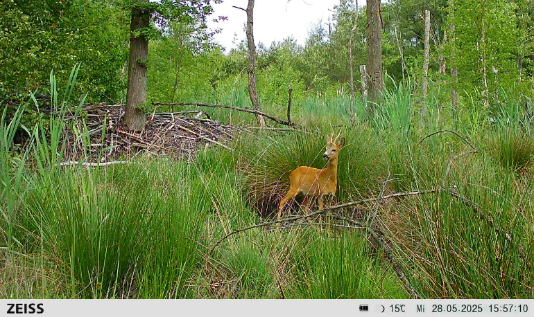 Onze natuur