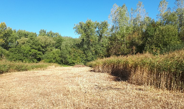 Natuurreservaat Motmolen