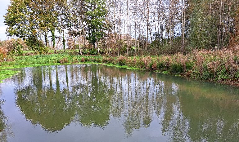Natuurreservaat Motmolen