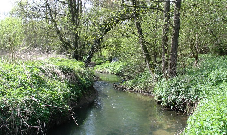 Natuurreservaat Motmolen
