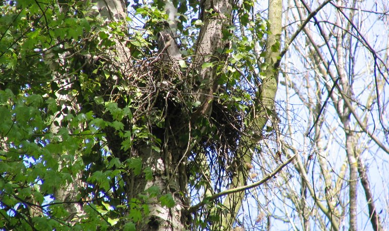 Natuurreservaat Motmolen