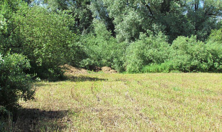 Natuurreservaat Motmolen