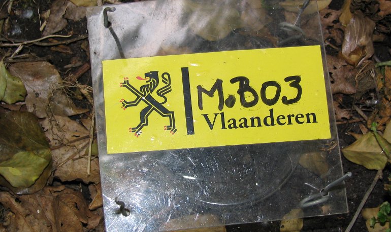Natuurreservaat Motmolen