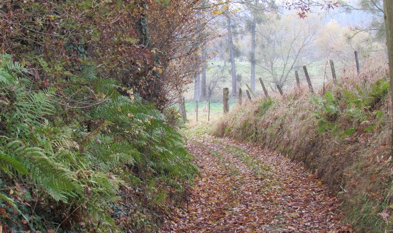 Natuurreservaat Motmolen