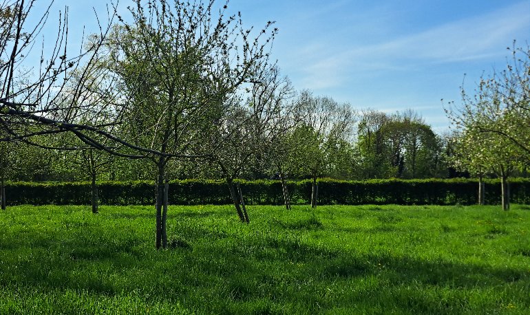 Erik Bemelmans boomgaard