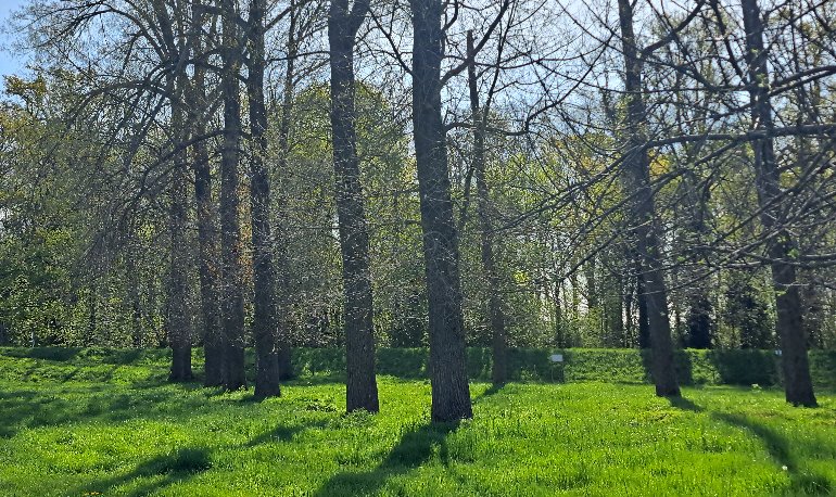 Erik Bemelmans boomgaard