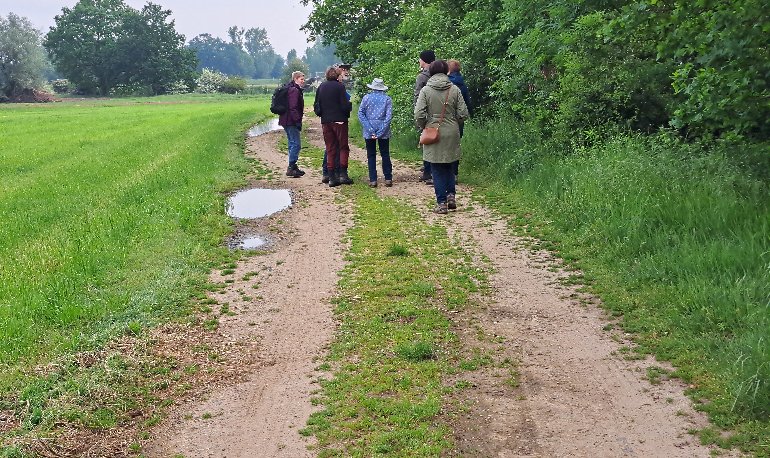 Vroege vogels
