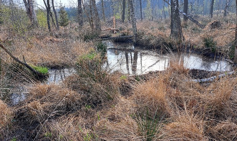 Natuurreservaat 'Vijvercascade' Stevoorden-Hoefaert